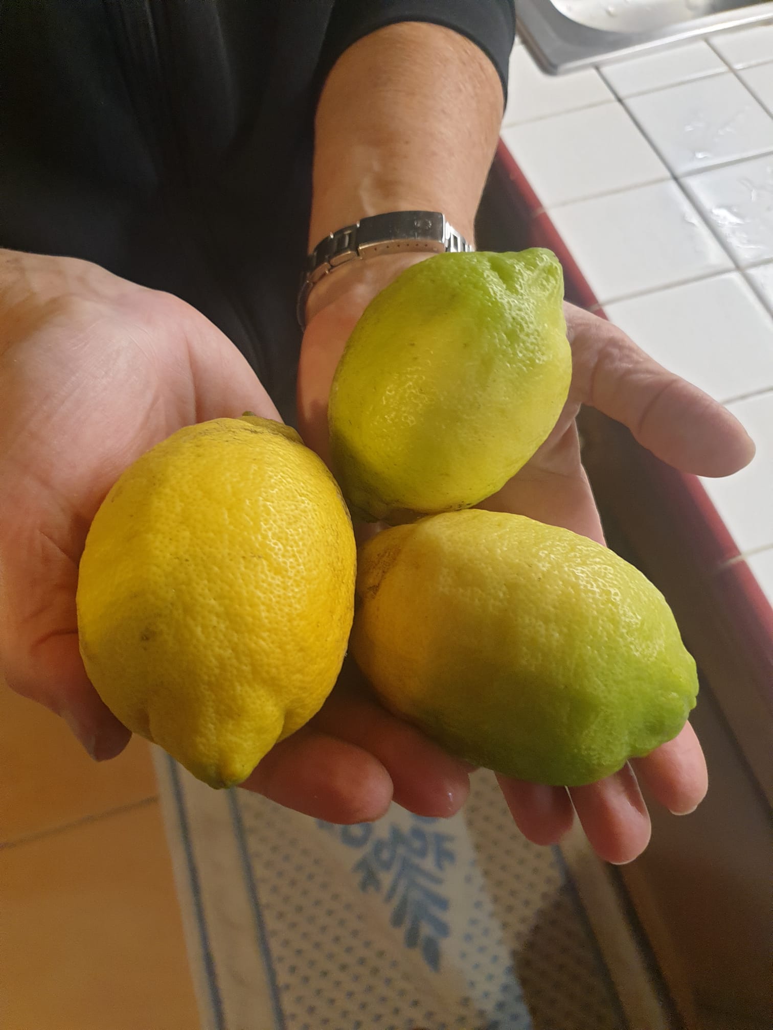How to make lemon pasta Italian style anyone….